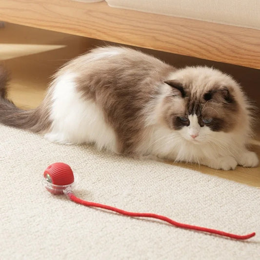Balle interactive pour chat