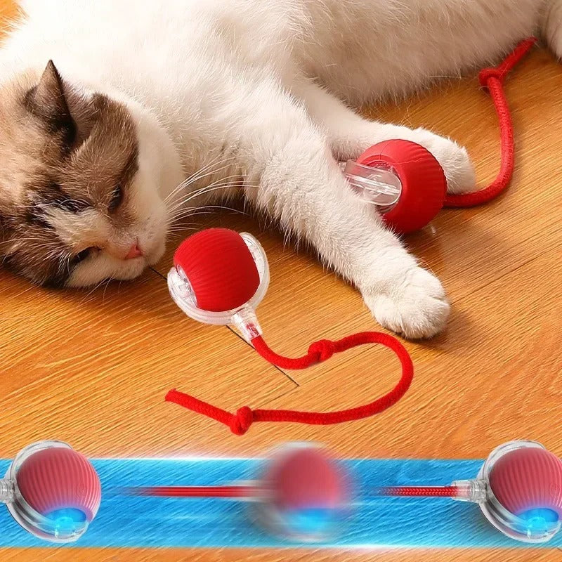 Balle interactive pour chat